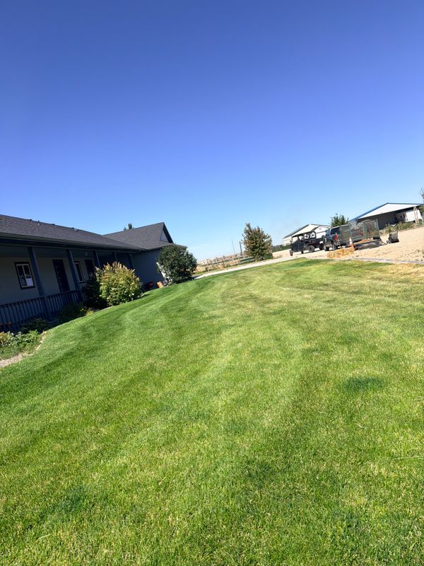 Lawn Mowing and Maintenance