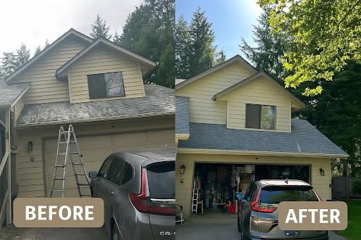 Roof Cleaning