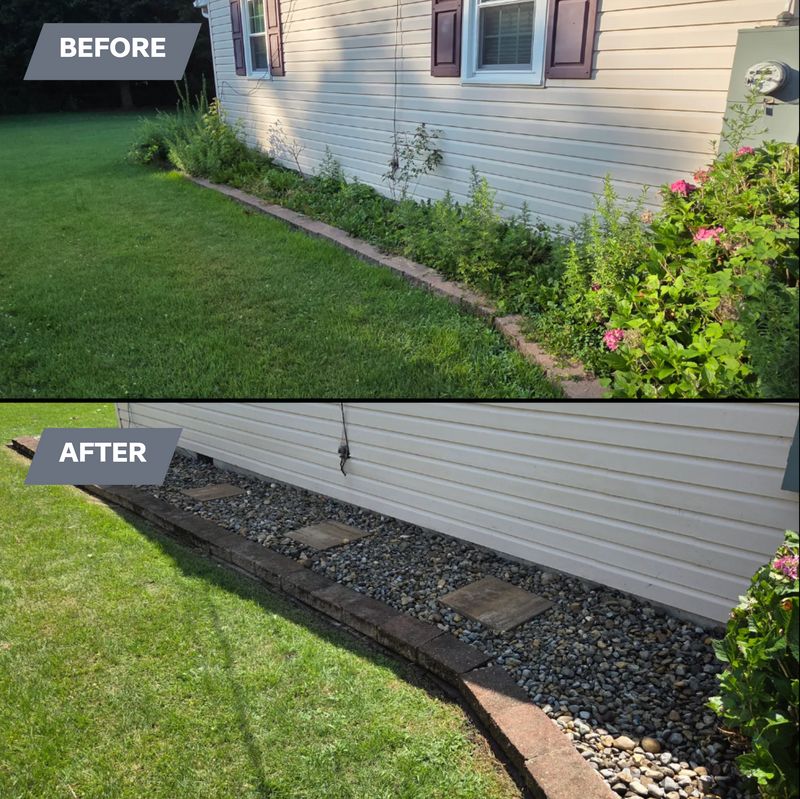 Lawn Care and Maintenance