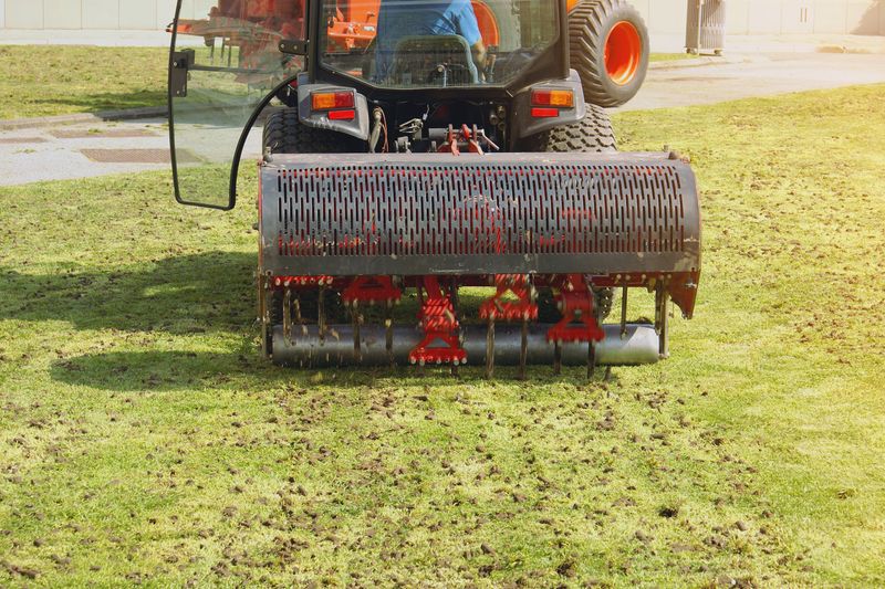 Lawn Mowing
