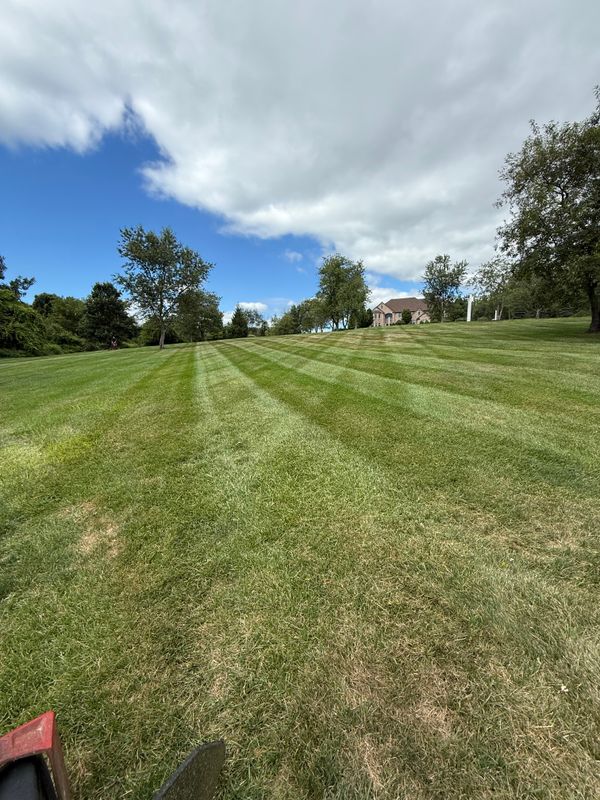 Lawn Maintenance