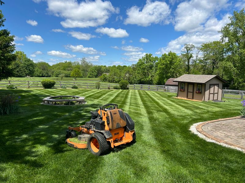 Our Mowing