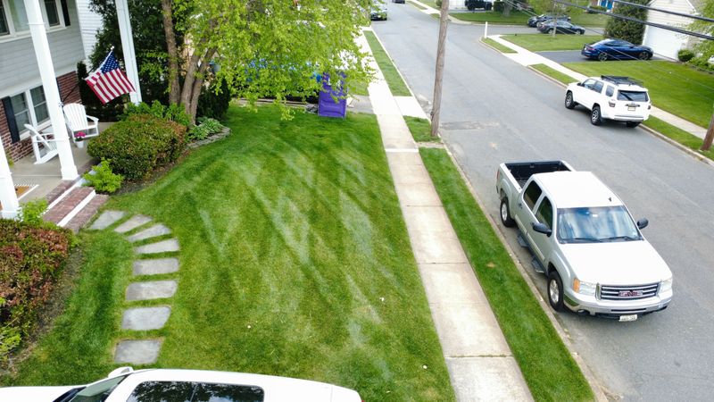 Lawn Maintenance