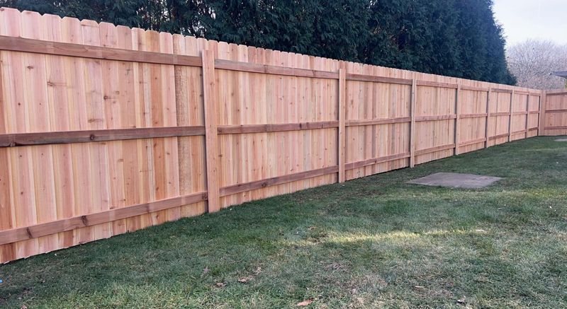 Fences