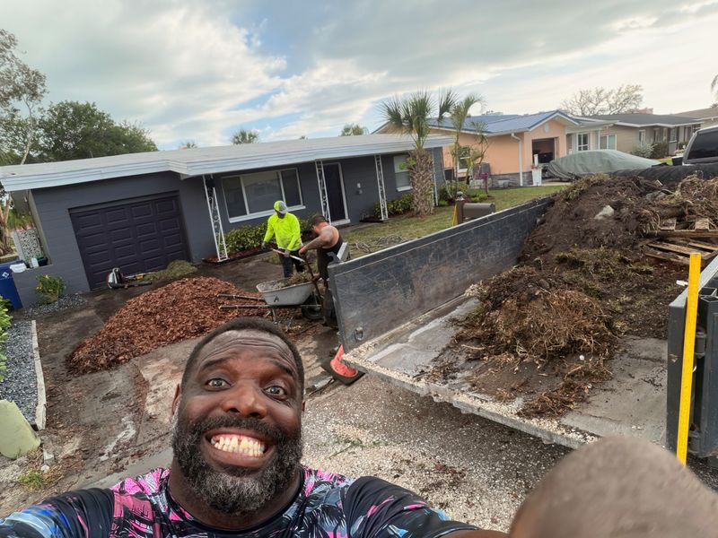 Transforming Curb Appeal: Team Tolson's Landscape Excellence in Action