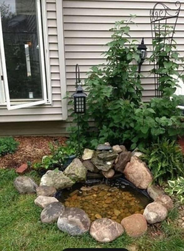 Garden Maintenance