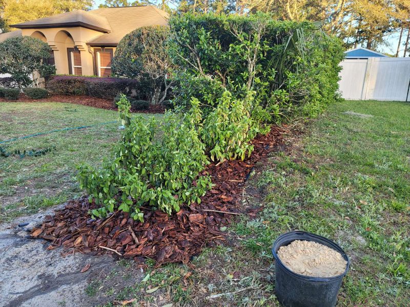 Mulch Installation
