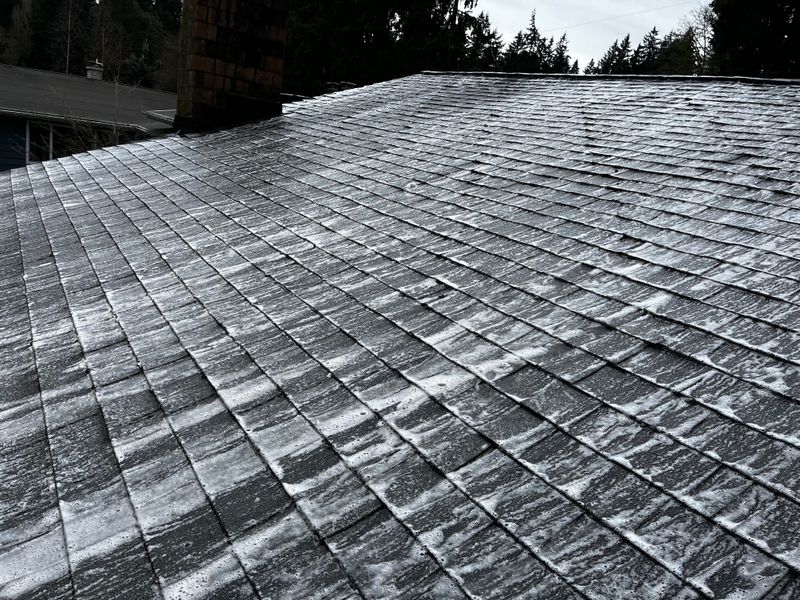 Roof Cleaning