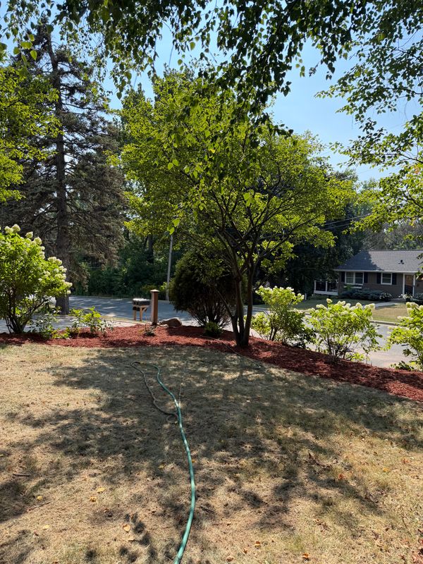Landscaping