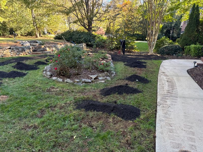 Lawn Care Services