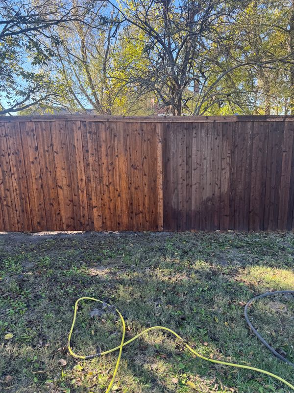 Staining