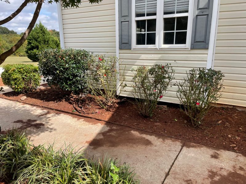Landscaping