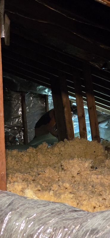 Attic Insulation