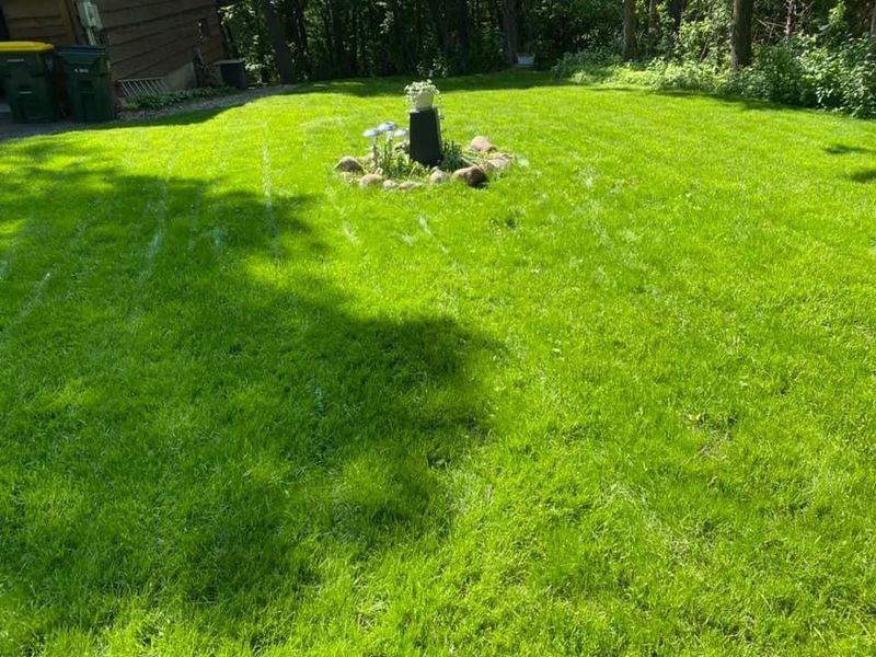 Erosion control / Hydroseeding gallery
