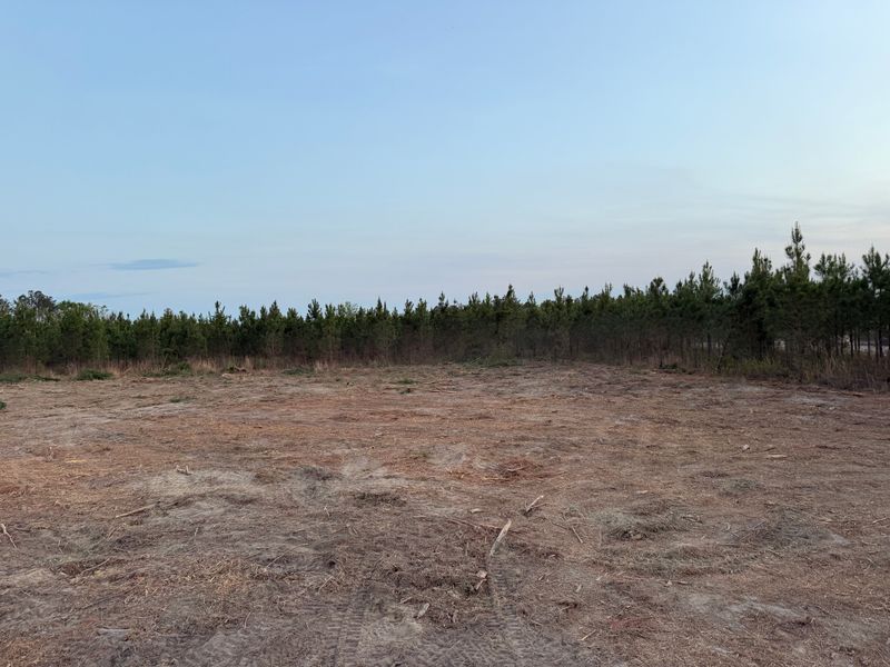 Land Clearing