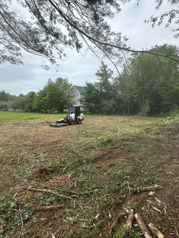 Tree Trimming