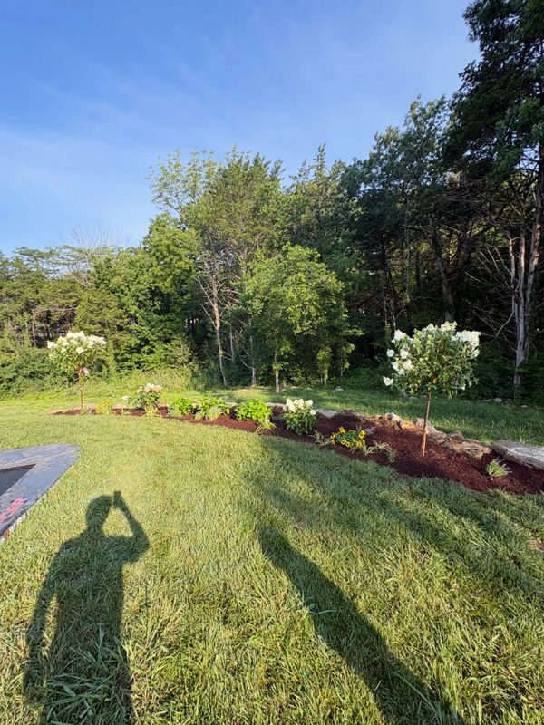 Landscape Design