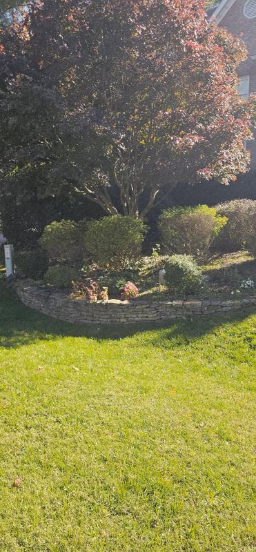 Hardscape