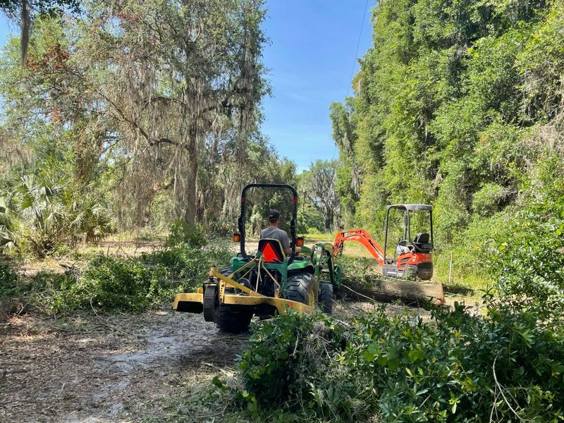 Tree Removal