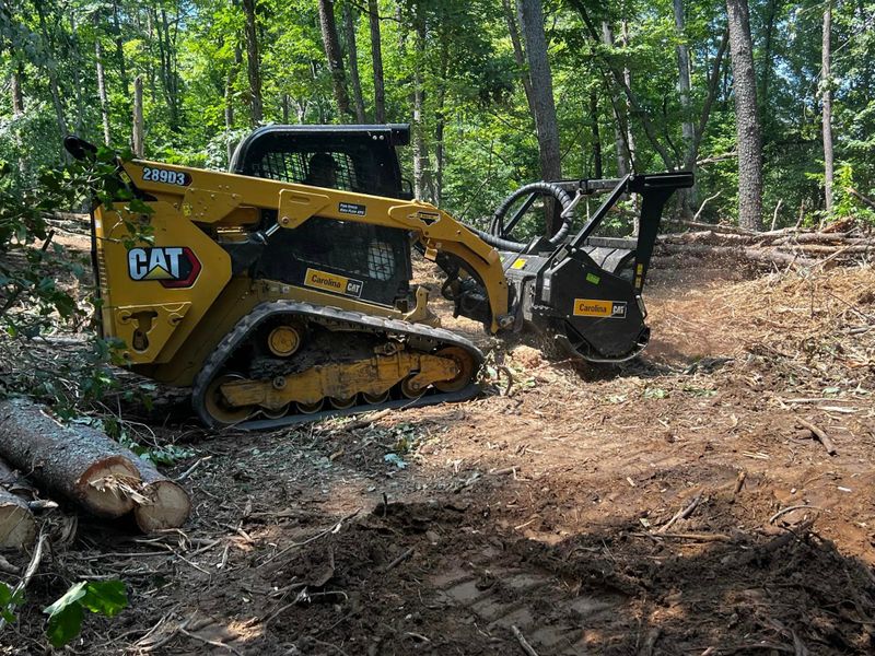 Forestry Mulching