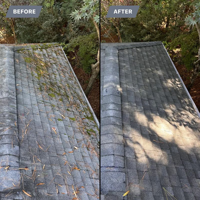 Roof Soft Wash