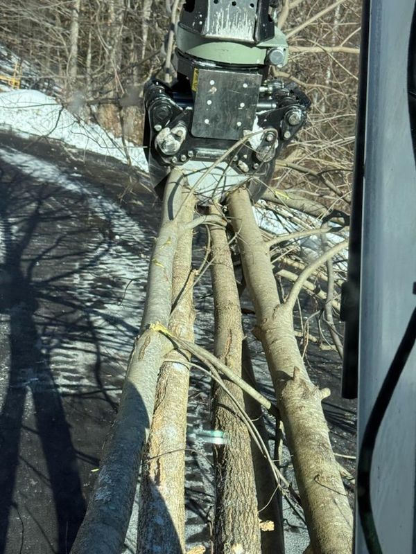Rigging