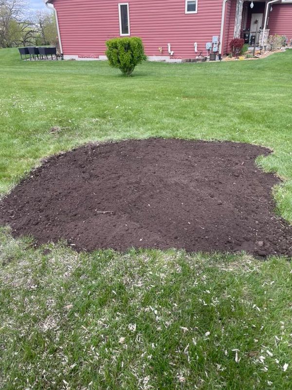 Stump Removal