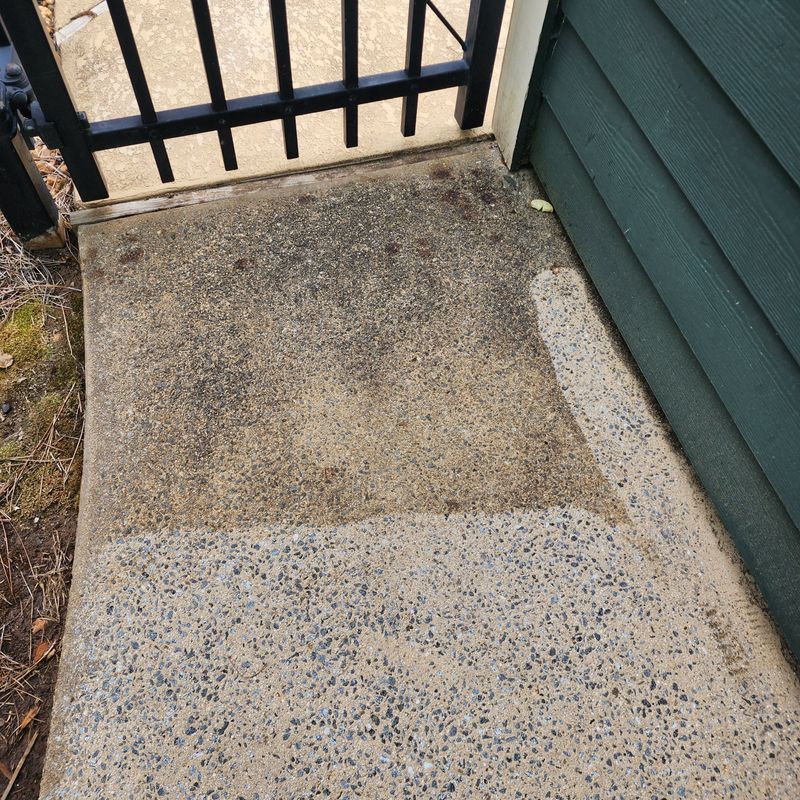 Driveway and Sidewalk Cleaning