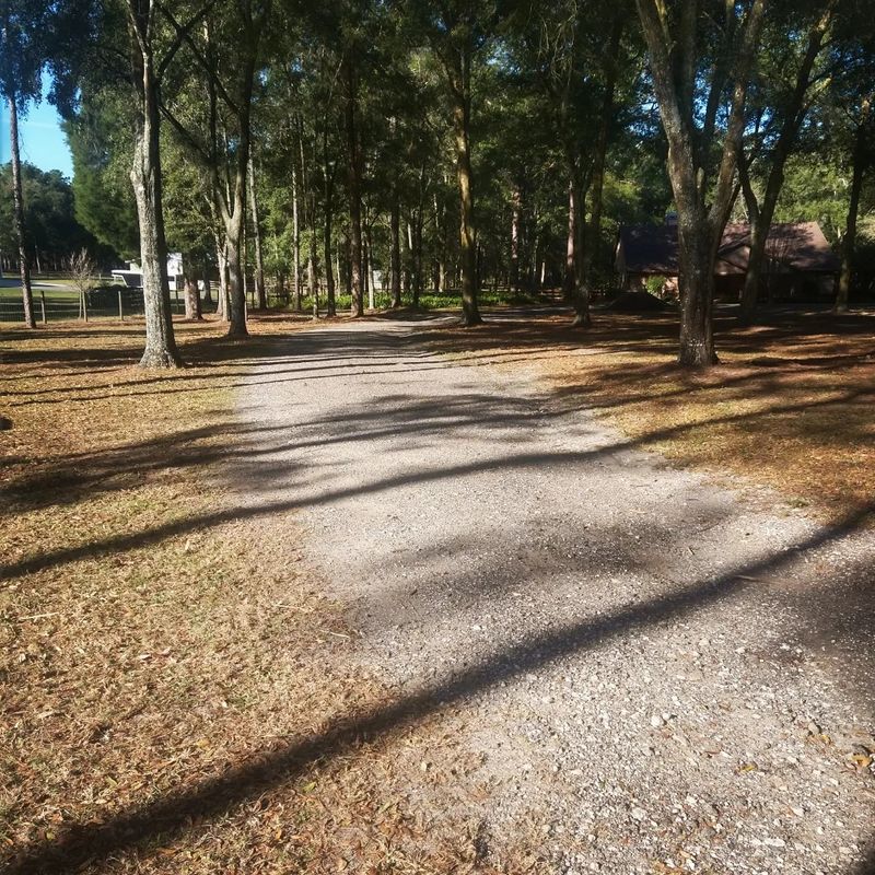Debris Removal