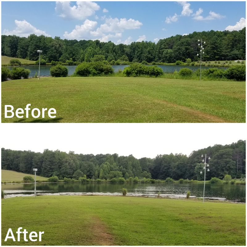 Pond Maintenance and Management
