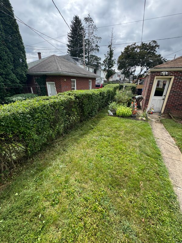 Property Maintenance
