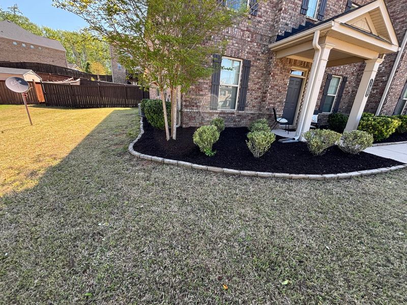Tree & Shrub Care