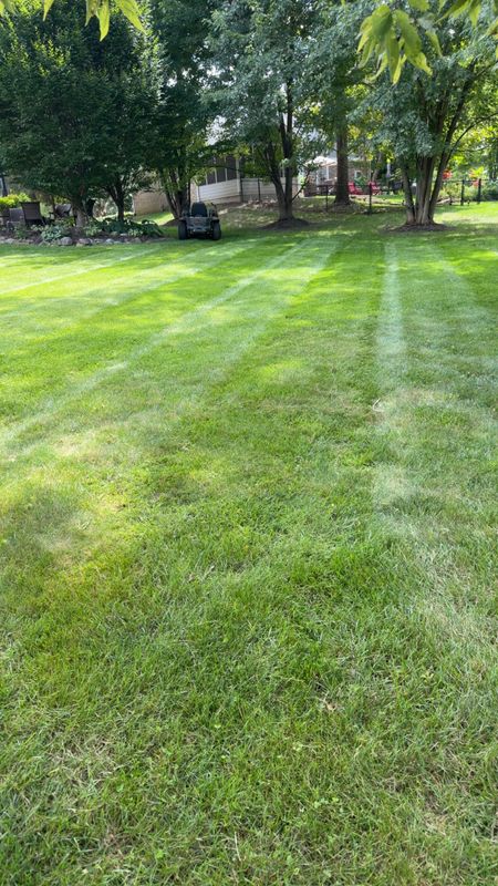 Lawn Mowing