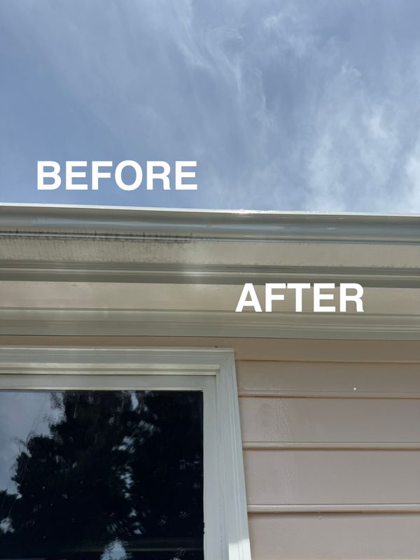 Home Soft Washing