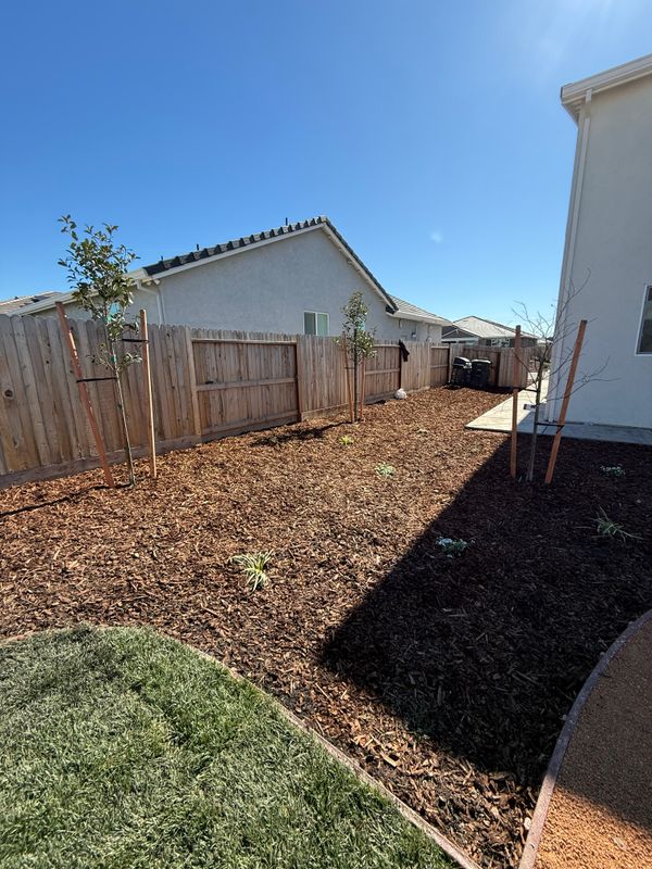 Landscaping