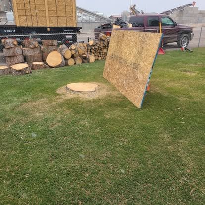 Tree Removal