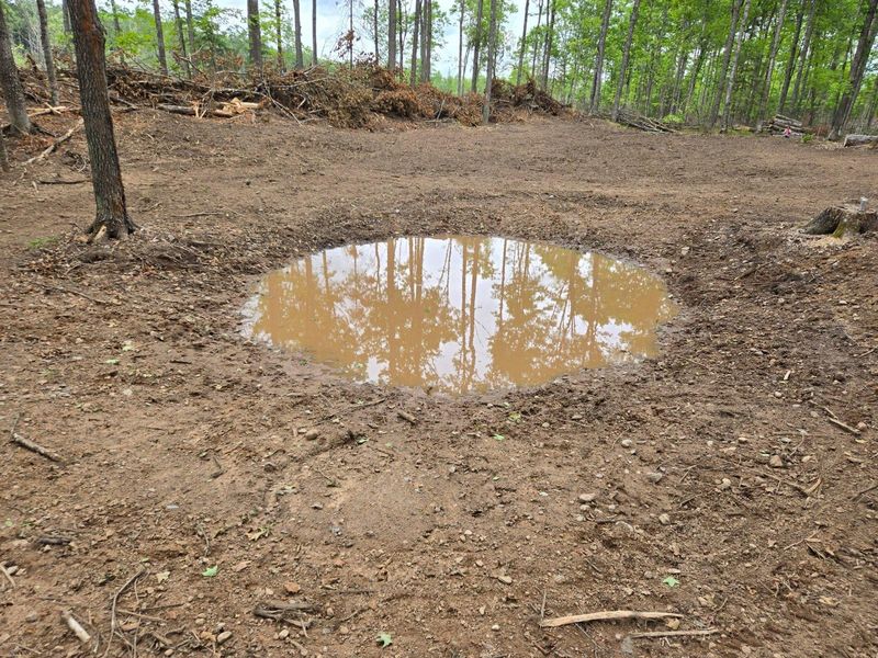Pond Digging