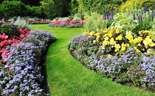 Sod And Seeding