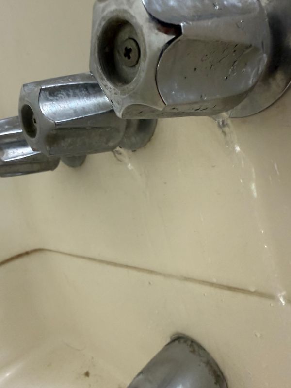 Leak Detection and Repair