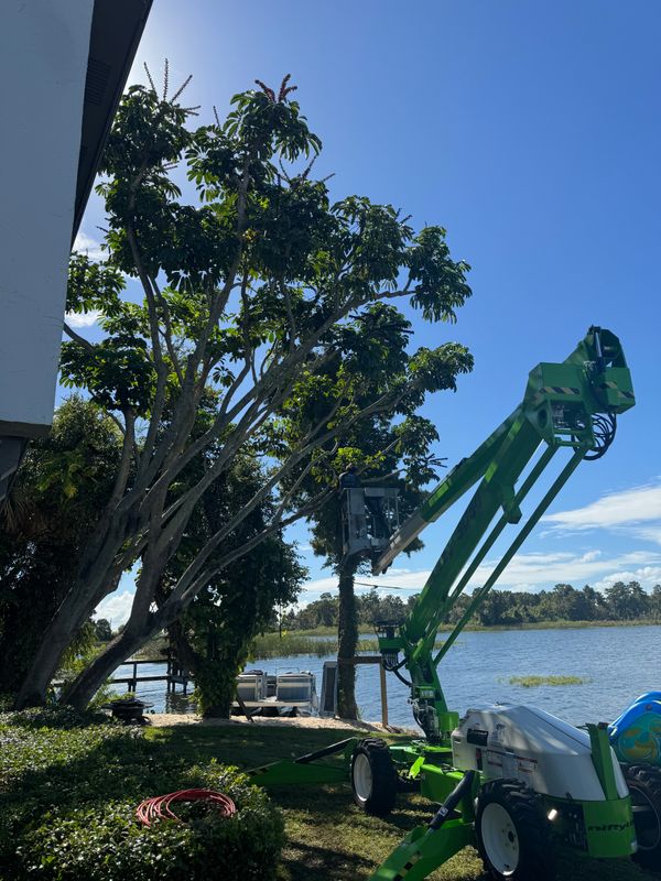Land Clearing
