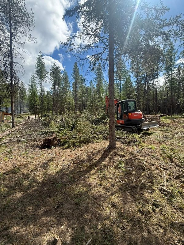 Land Clearing