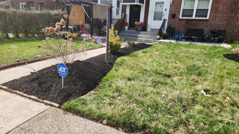 Lawn Care