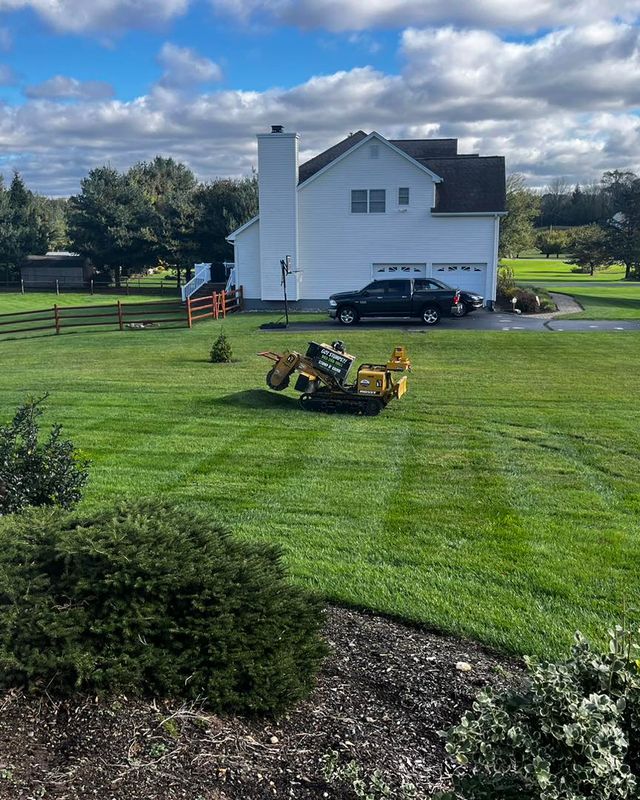 Stump Grinding