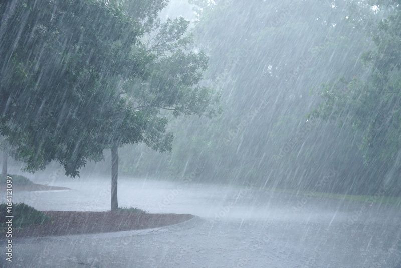 Water Restoration Services