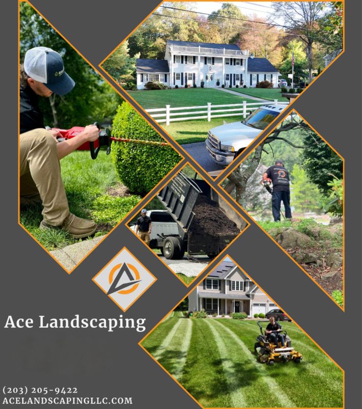 Shrub & Tree Care