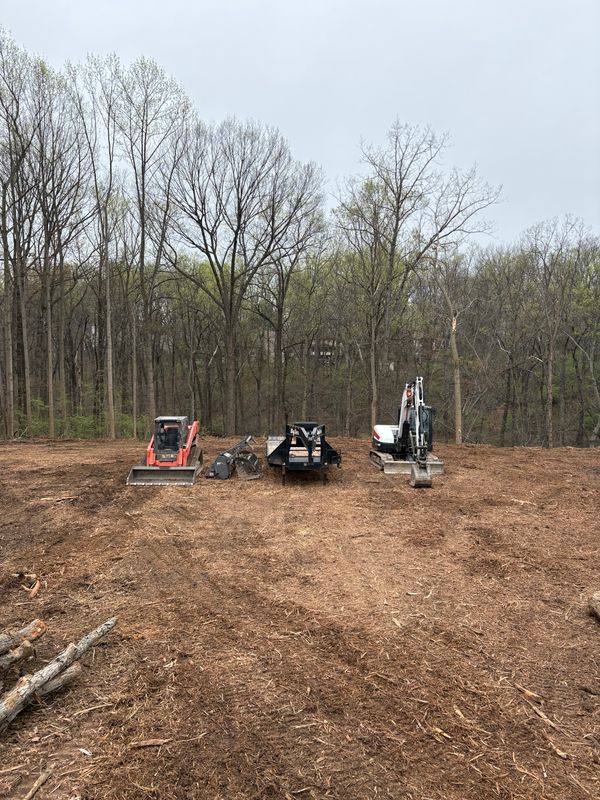 Land Clearing