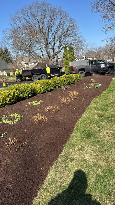 Flower Bed 
