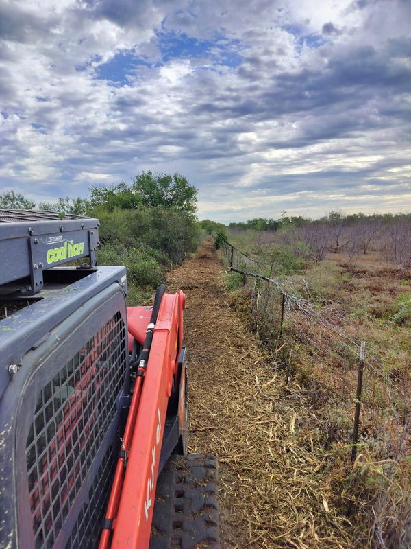 Forestry Mulching