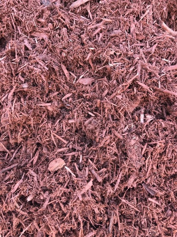 mulch