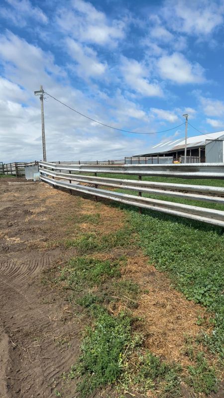 Pipe Fencing